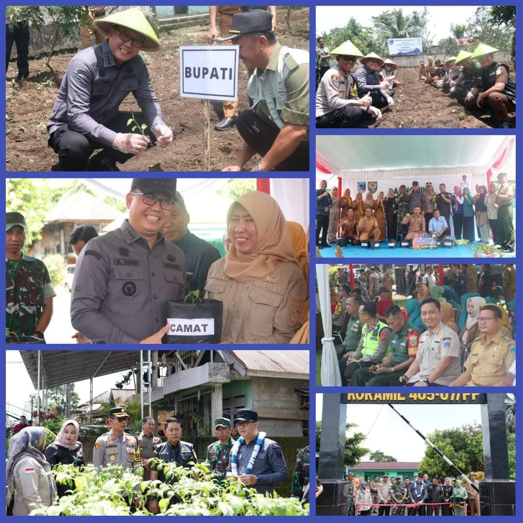 DINAS TANAMAN PANGAN HORTIKULTURA DAN PETERNAKAN (TPHP) KERJASAMA KODIM 0405/LAHAT SELENGGARAKAN KEGIATAN LOUNCHING GERAKAN MENANAM CABAI SECARA SERENTAK