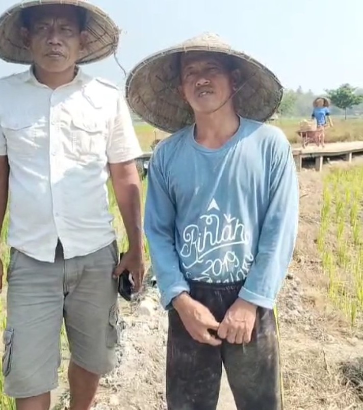 khawatir Gagal Panen, petani Berharap Pemerintah bisa Sigap dalam segala hal.